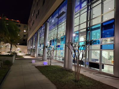 The Benefits of Professional Window Cleaning